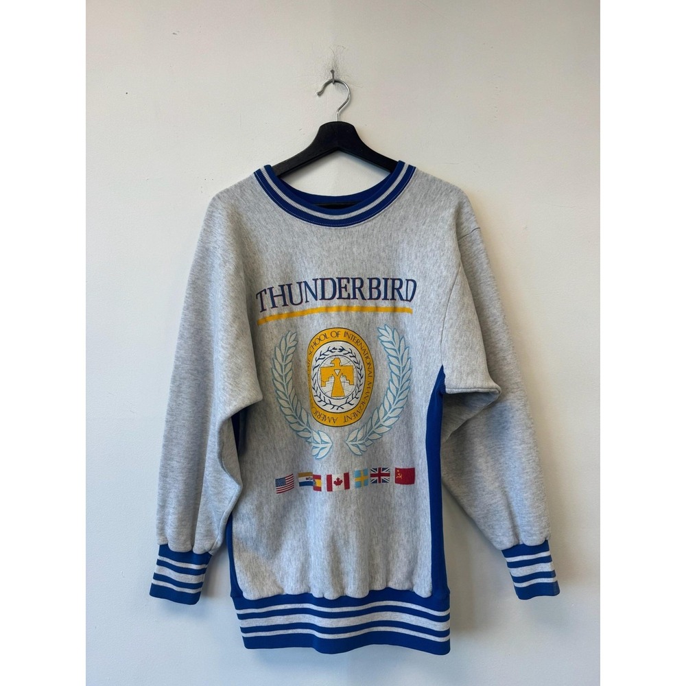 Vintage Jostens Thunderbird Sweatshirt Mens Medium Gray Fleece College Flags 80s